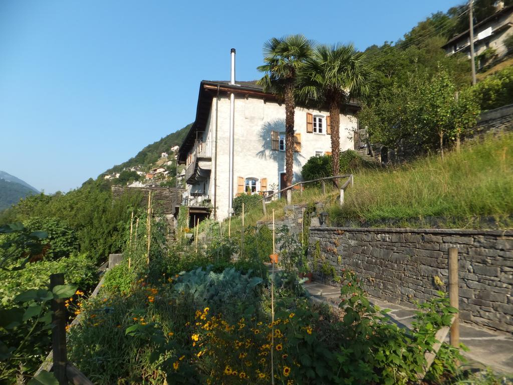 Casa Del Sarto Apartment Intragna Exterior photo